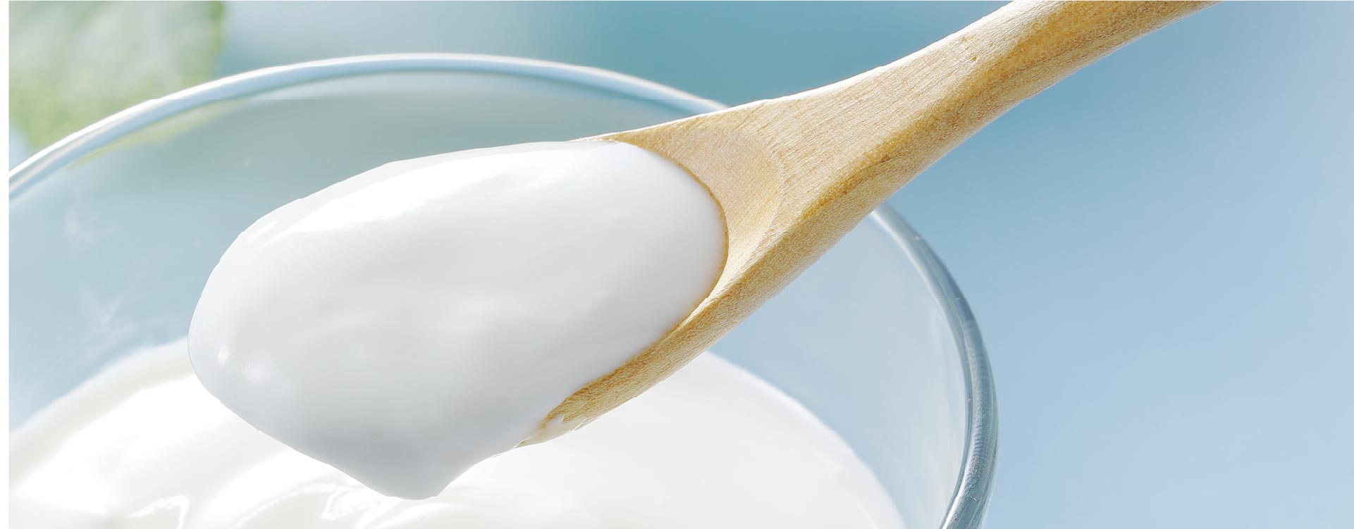 JW Animal Gelatin Yogurt