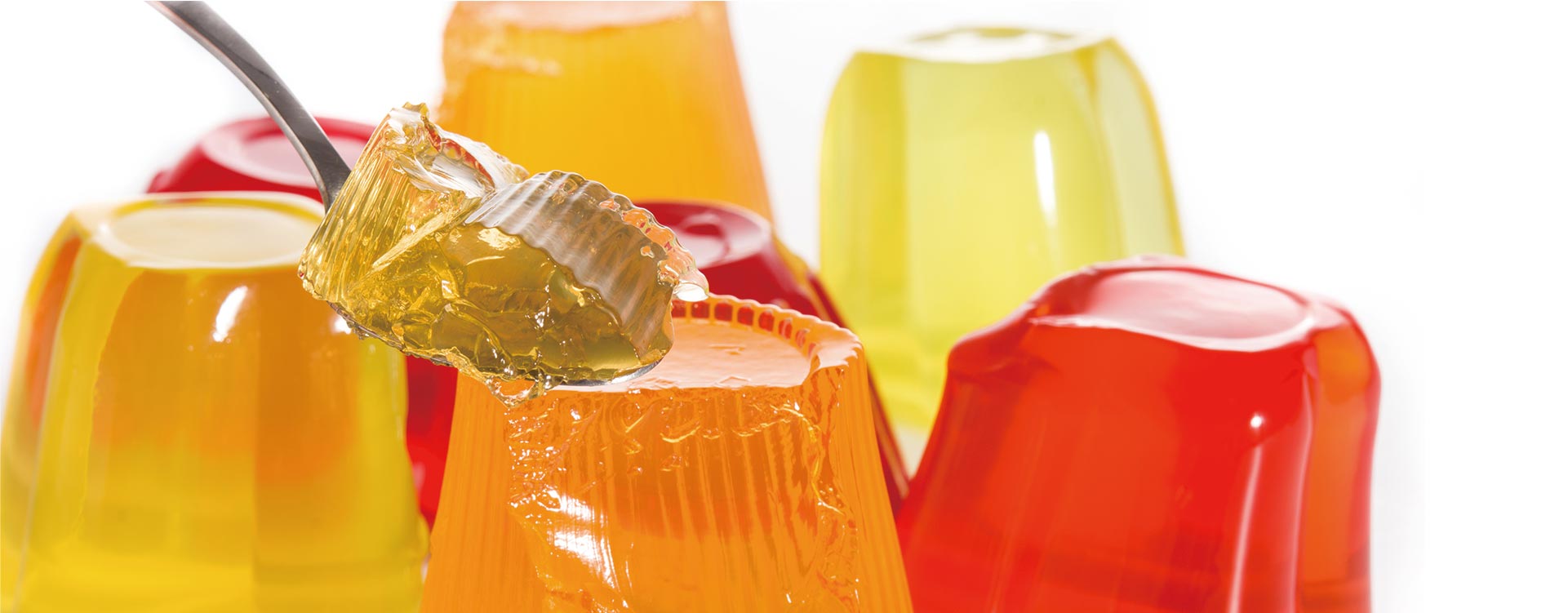 JW Animal Gelatin jelly