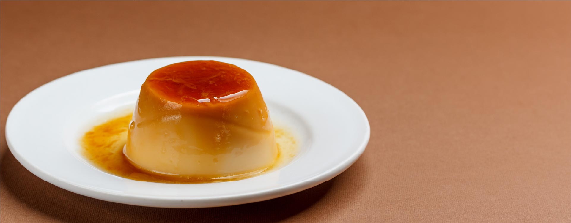 JW Animal Gelatin Pudding