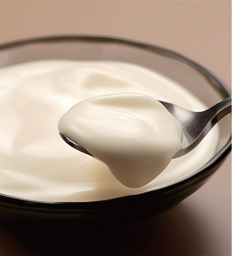 JW Animal Gelatin gelatin for yogurt/cheese/dairy products