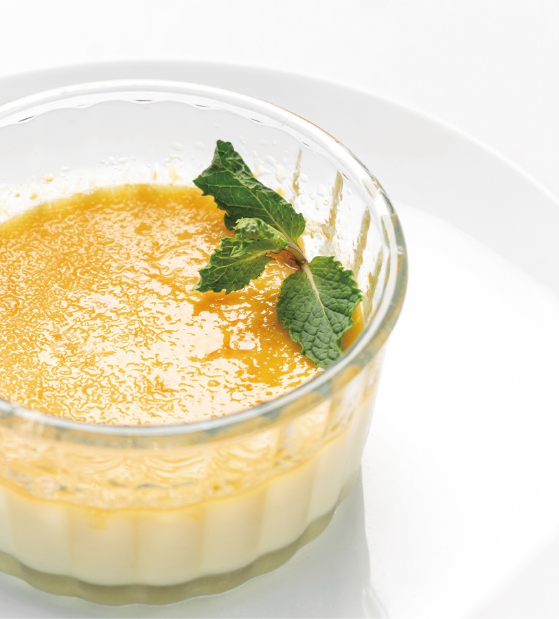 JW Animal Gelatin pudding