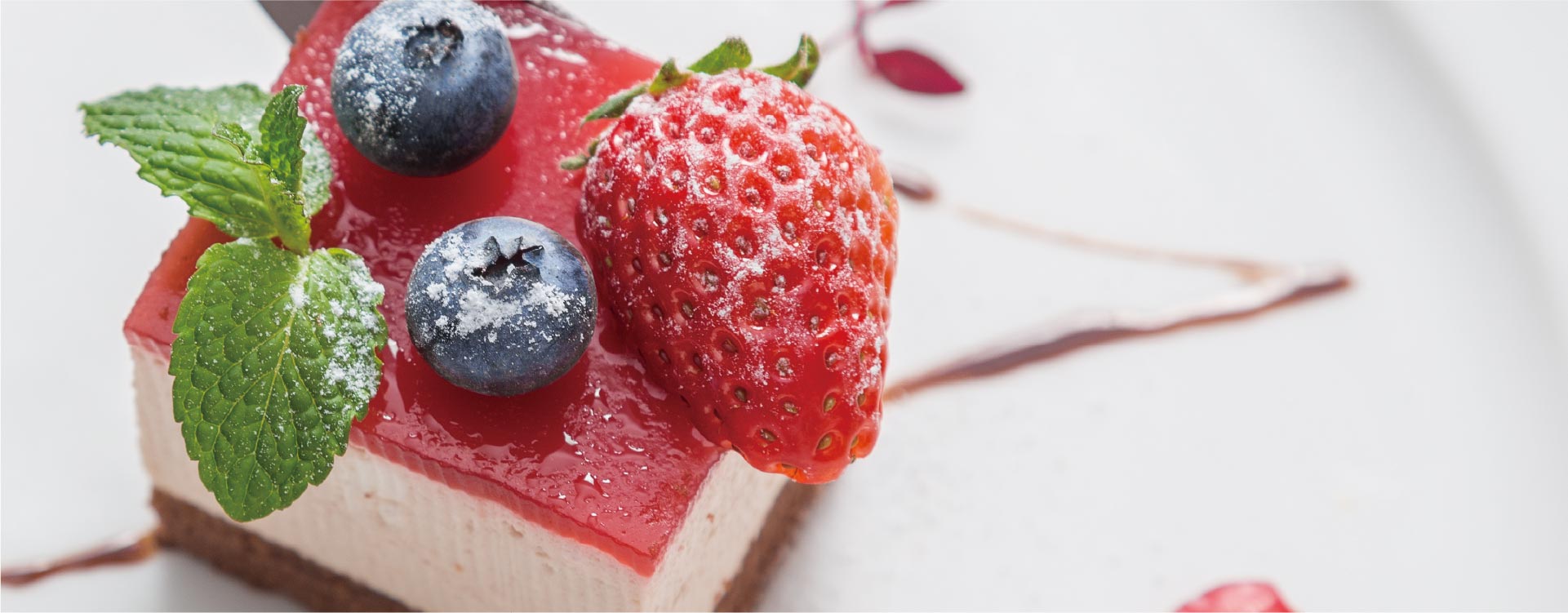 JW Animal Gelatin cakes