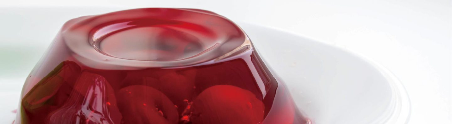 JW Animal Gelatin jelly applications