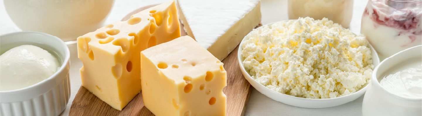 JW Animal Gelatin dairy applications