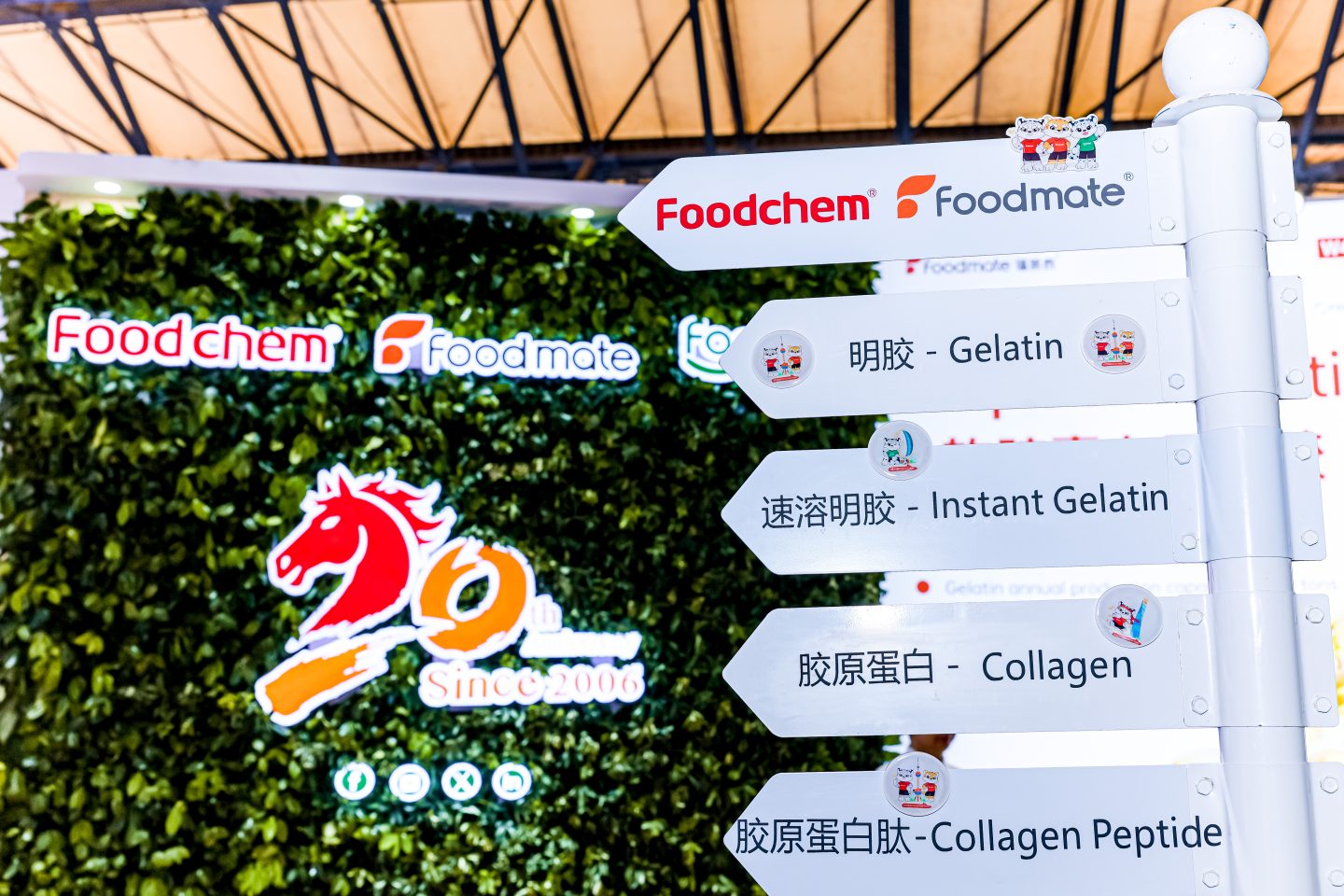 China gelatin factory